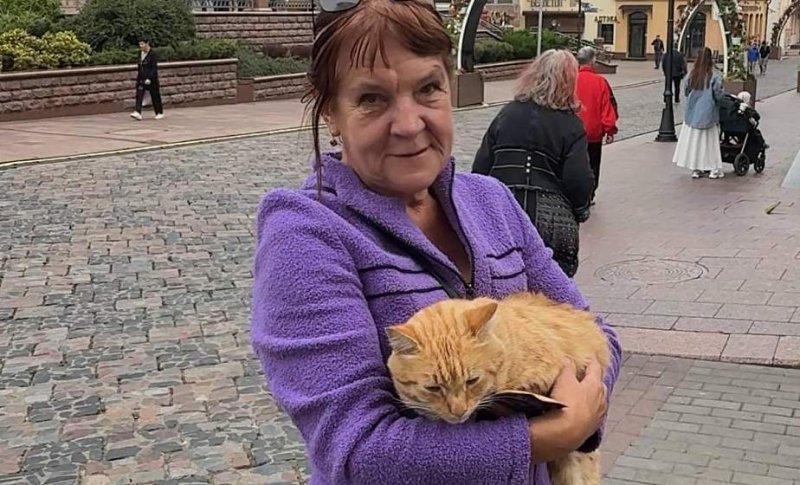 Усатый эксклюзив Кот Рыжий из Гродно  звезда соцсетей