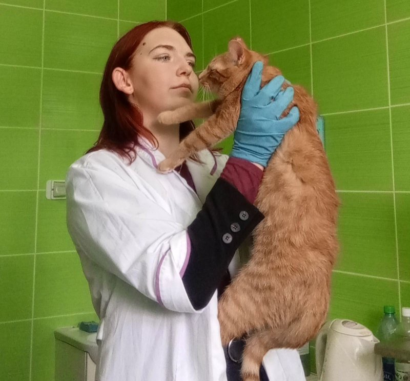 Здоровье питомца  наша общая забота Поговорили с ветеринарами об их важной миссии