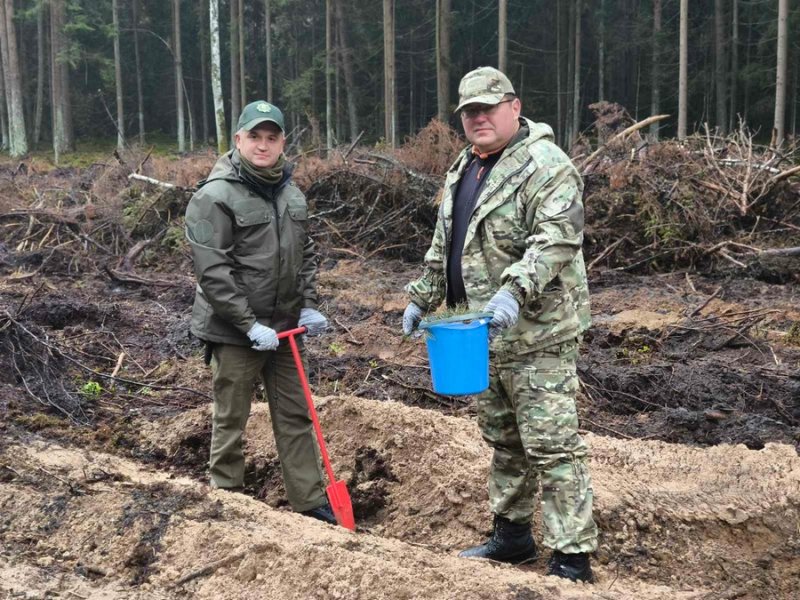 Сенатор Павел Ошурик стал участником республиканской акции Дай лесу новае жыццё
