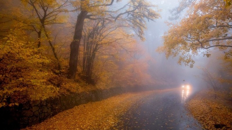 Оранжевый уровень опасности объявлен в Беларуси  ноября изза тумана