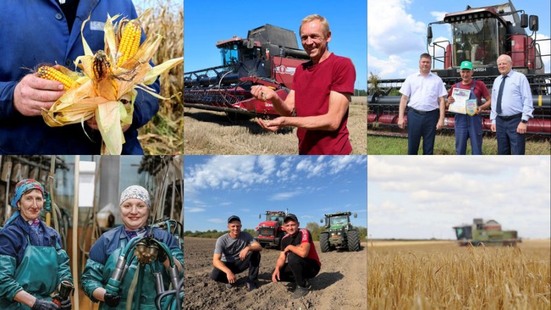 Труд аграриев Зельвенщины  в фотообъективе Працы
