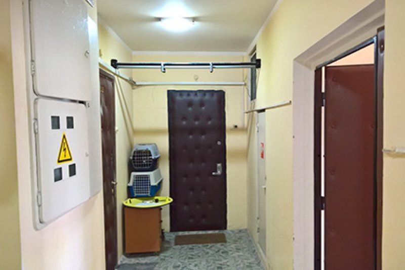 Что делать если соседи превратили подъезд в склад