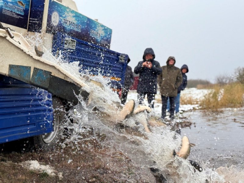 Свыше  кг рыбы выпущено в водохранилище Зельвянское