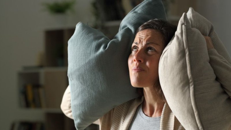 Как бороться с шумными соседями отвечает участковый инспектор милиции