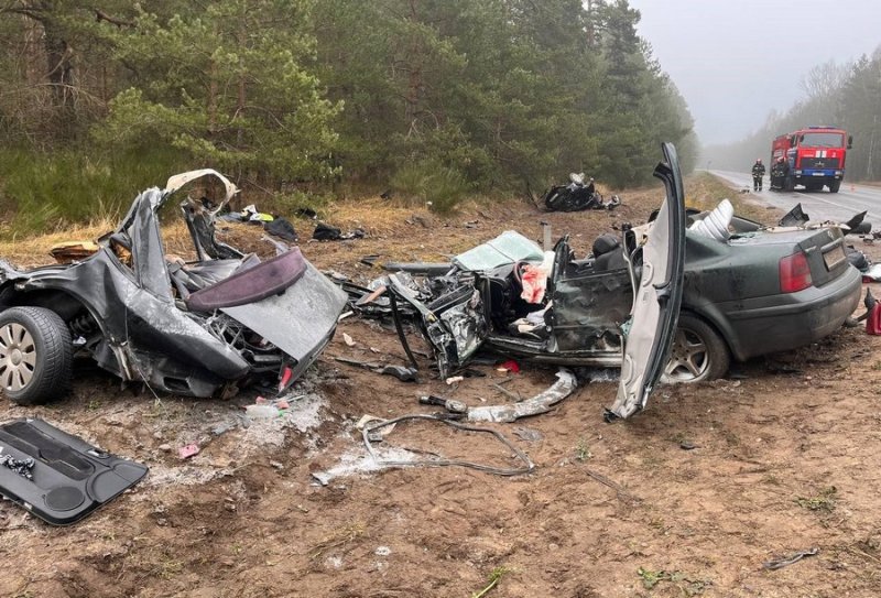 Госавтоинспекция информирует о подробностях автомобильной аварии  с трагическим исходом