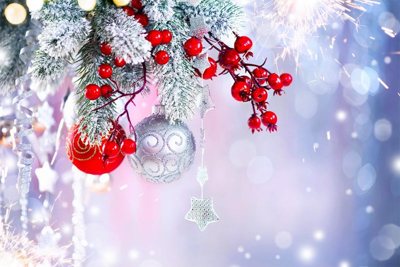 С Новым  годом поздравляет депутат Гродненского областного Совета депутатов  по Зельвенскому избирательному округу  Елена Агей