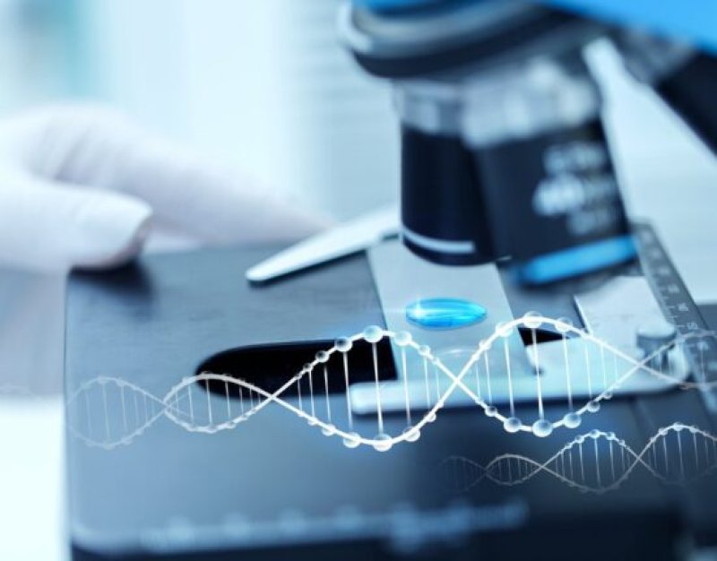 Какие направления станут приоритетными для отраслевой медицинской науки в новой пятилетке