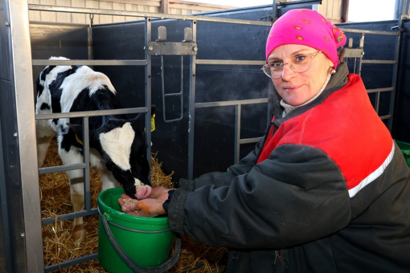 Холод на фермах держат за дверью Узнали как проходит зимовка у телят в СПК Сынковичи