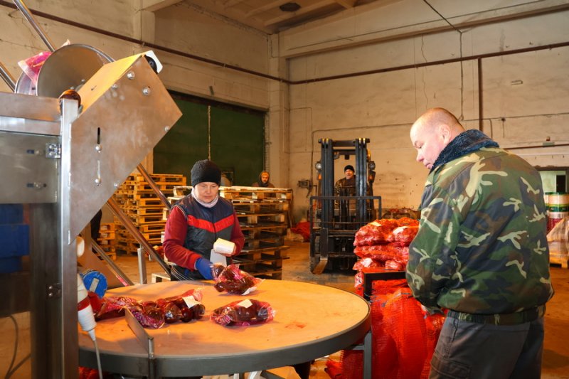 На линии  свёкла Как работает предприятие ООО ГродАгро