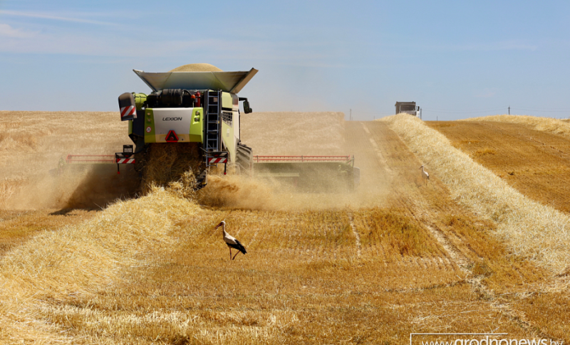 Аграрии Гродненской области готовятся к весенним полевым работам
