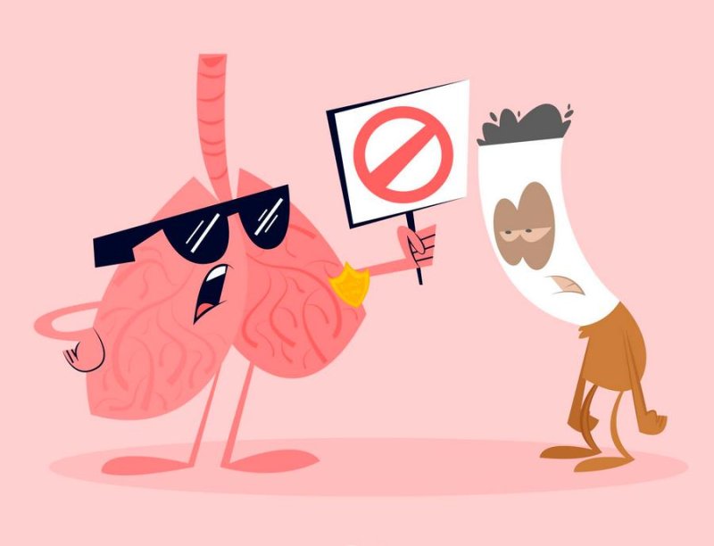 Как вредные привычки влияют на здоровье человека