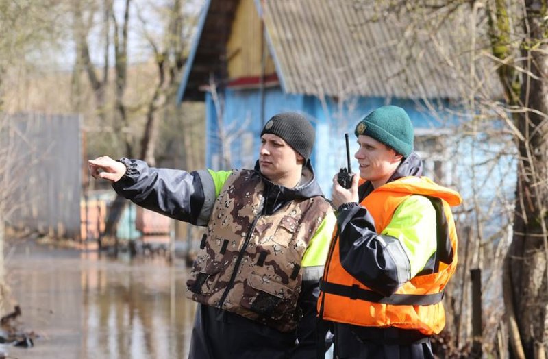 МЧС правила безопасности при паводке