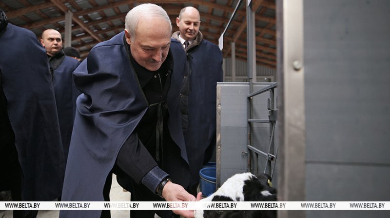 Рабочая суббота у Президента Беларуси Александр Лукашенко приехал на МТК в Логойском районе