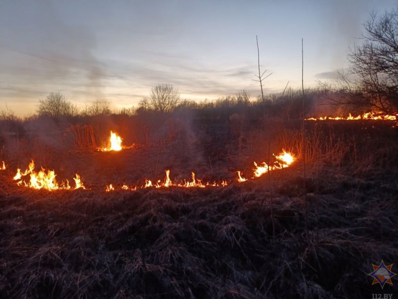 Первые случаи возгорания сухой травы зарегистрированы в Гродненской области