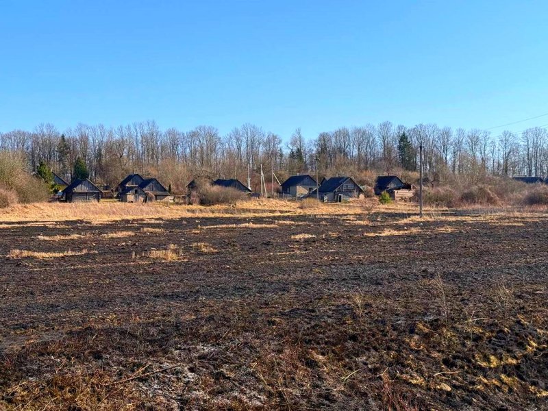 Первый в этом году пал травы зафиксирован в Зельвенском районе