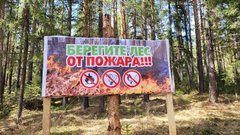 В лесах Слонимского лесхоза начался пожароопасный сезон