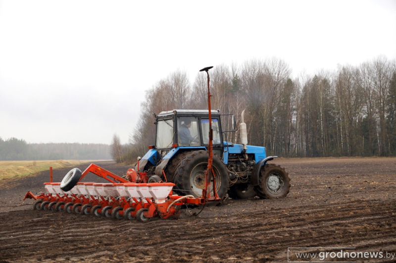 Председатель комитета по сельскому хозяйству и продовольствию Гродненского облисполкома Игорь Сорокин Все районы Гродненской области приступили к ве
