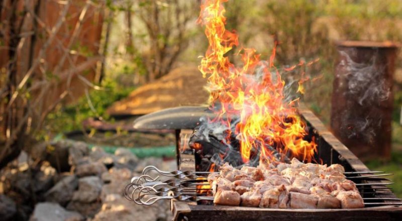 Как пожарить шашлык и не сжечь дачу Советы МЧС перед выходными