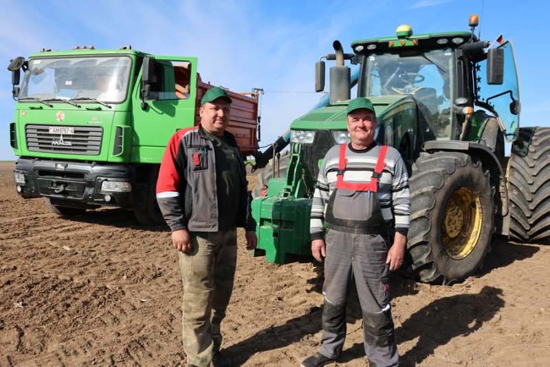 Люди и цифры Как идет посевная кампания в СПК Сынковичи