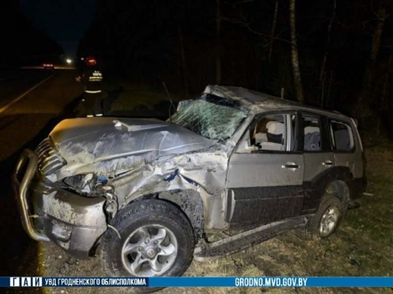 Съехала в кювет изза дикого зверя в Зельвенском районе произошло ДТП