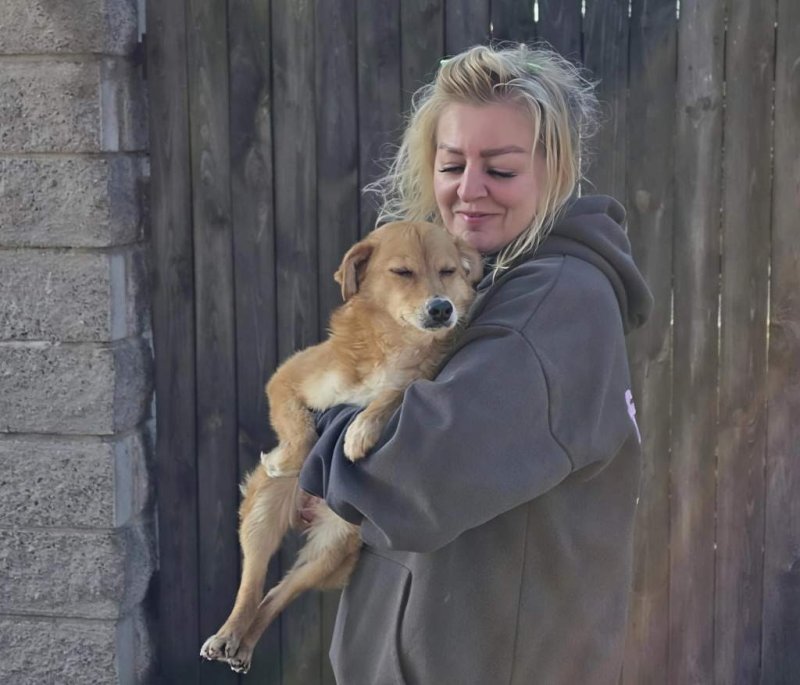 Домашний питомник Почему одни хотят помочь бездомным животным а другие  против