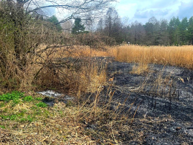 Очередное возгорание сухой растительности зафиксировано в Зельвенском районе