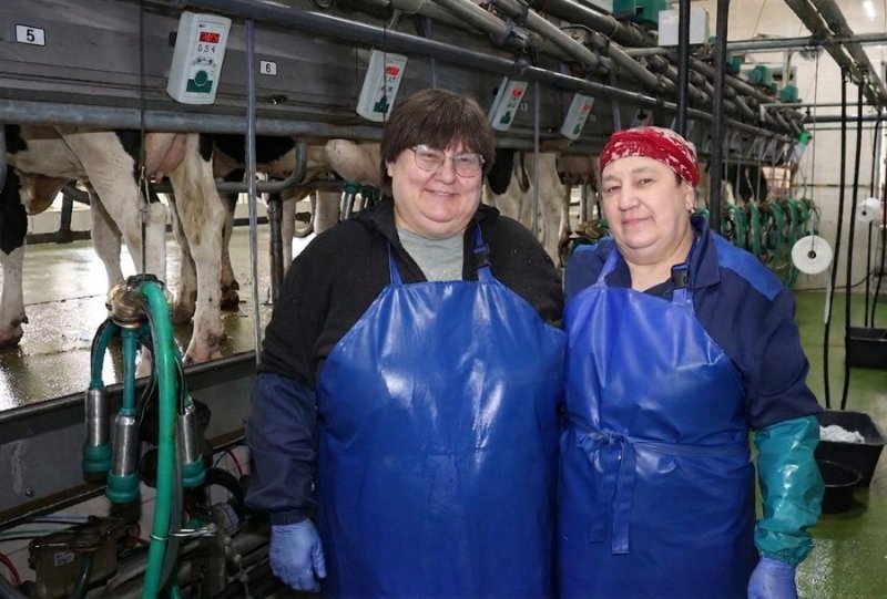 Высокие технологии в Павловичах как новая МТФ меняет труд и удои в СХФ Доброселецкий