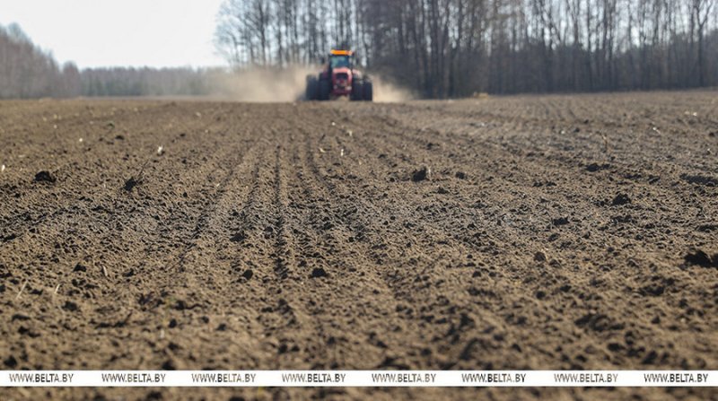 Лукашенко доложили о ходе весенних полевых работ в Беларуси