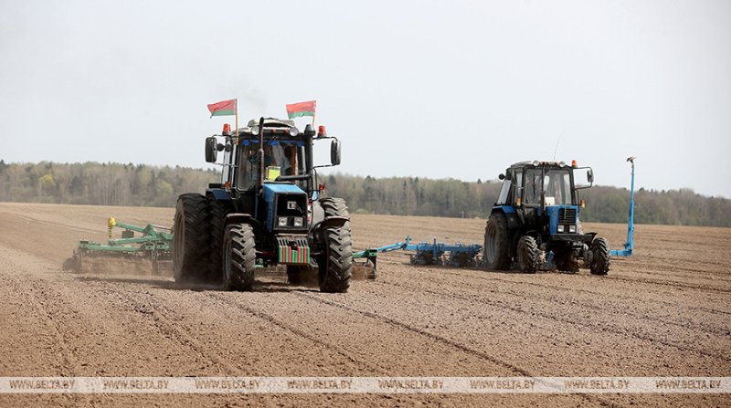 Сев льна и сахарной свеклы завершается в Беларуси