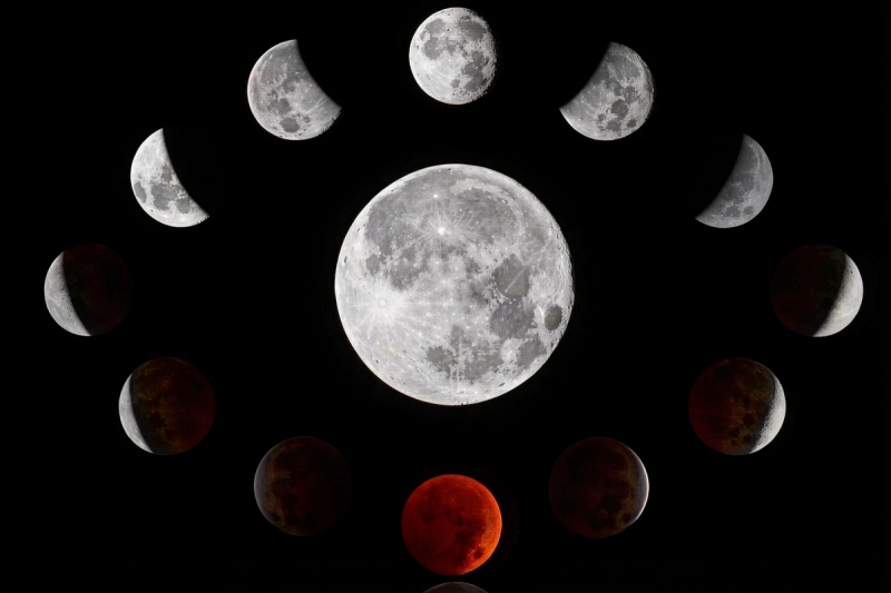 Лунный календарь для садоводов и огородников с  апреля по  мая  года