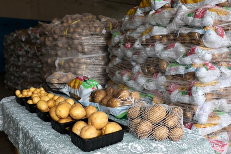 В Зельве начнут выращивать картофель в вакууме Какие еще производства появятся на Гродненщине