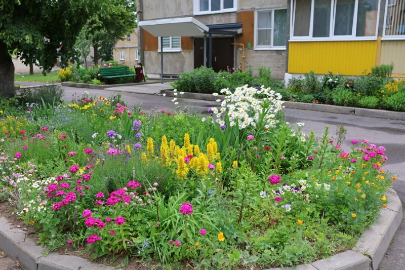 Наблюдаем дальше как зельвенцы поддерживают порядок в своих дворах