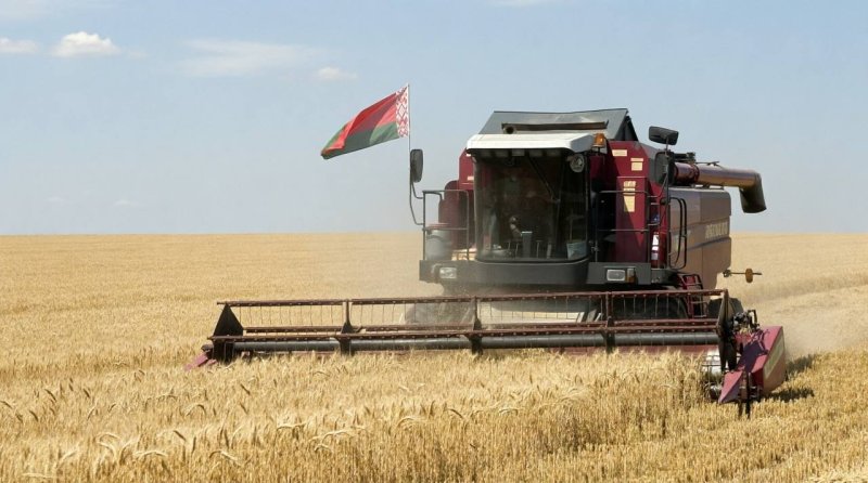 На Зельвенщине дан старт жатве