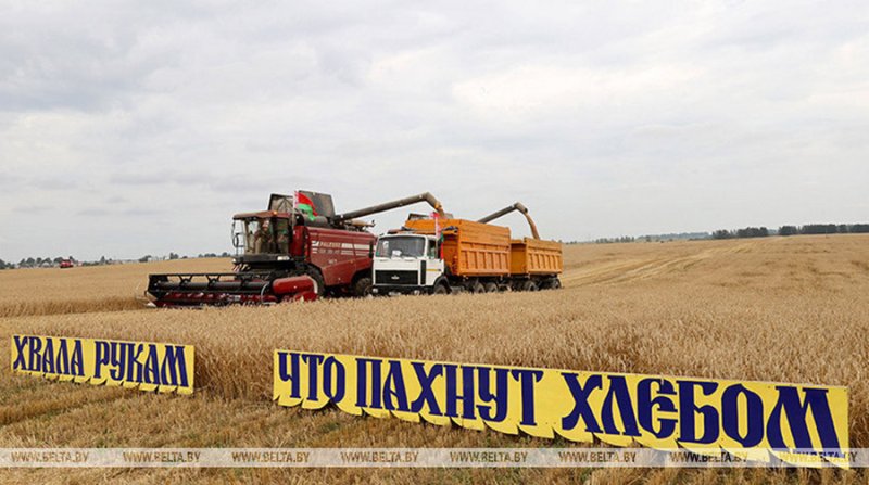 Мининформ открыл прием заявок на творческий конкурс Хвала рукам что пахнут хлебом