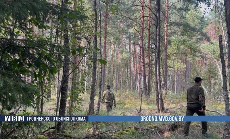Под Гродно найдено тело пропавшего грибника