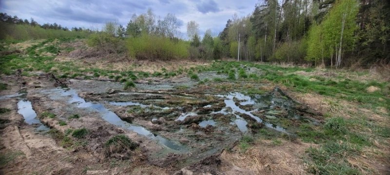Вопросы наведения порядка на земле и соблюдения природоохранного законодательства остаются в поле зрения Комитета госконтроля